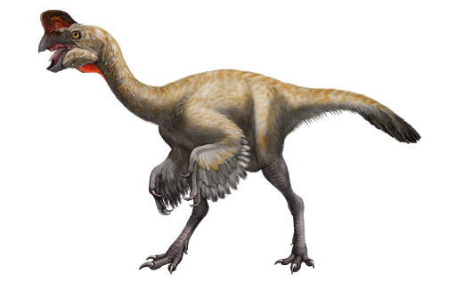 Как выглядели яйца динозавров: 25 фактов о жизни миллион лет до нашей эры