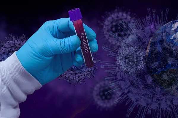 Российские ученые выявили 1424 штамма коронавируса0