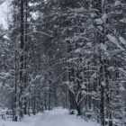 В Ленобласти местами 5 января планируется похолодание до -13 градусов