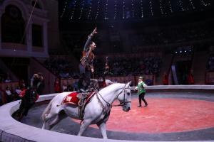 Артисты Итальянского цирка привились от коронавируса перед выступлением в Петербурге
