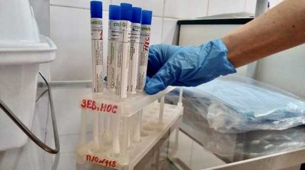 За сутки в Петербурге провели более 20 тысяч тестов на коронавирус0