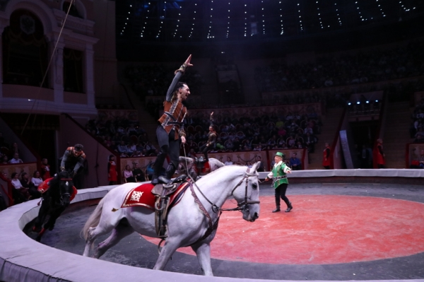 Артисты Итальянского цирка привились от коронавируса перед выступлением в Петербурге0