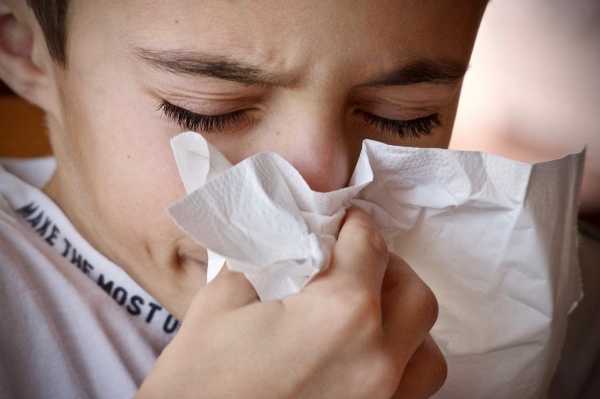 Петербургский учёный оценил вероятность эпидемии гриппа в 2021 году0