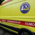 33 смерти от COVID-19 подтвердили в Петербурге за сутки