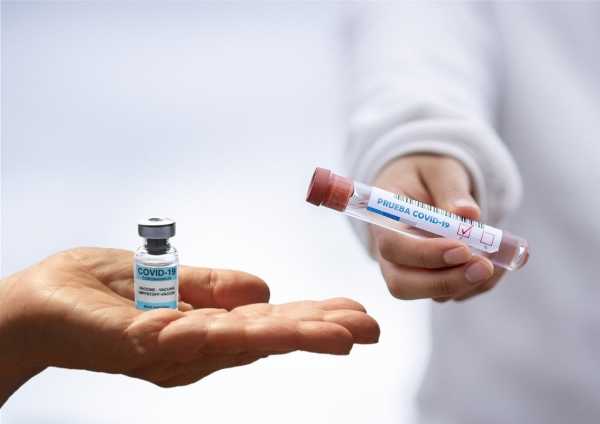 В Петербург приедет новая партия вакцины от коронавируса впервые с февраля0