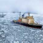 Застрявшие из-за COVID-19 в Антарктиде петербургские полярники возвращаются домой