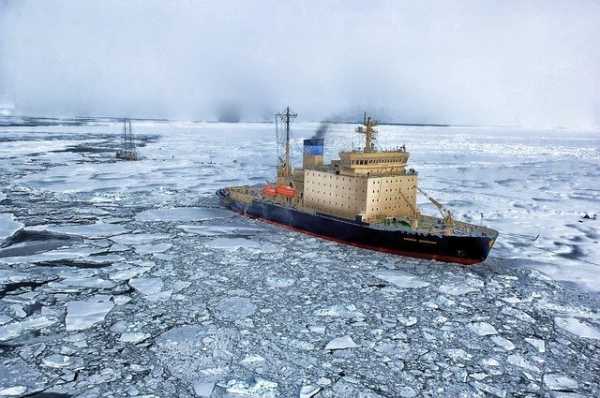 Застрявшие из-за COVID-19 в Антарктиде петербургские полярники возвращаются домой0
