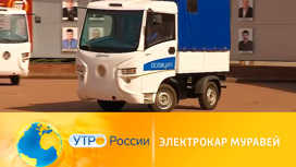 Электрокар «Муравей» и родстер «Крым»: новые авто для полиции1