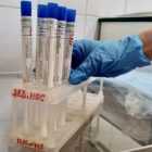 Тесты на коронавирус за сутки сдали более 17 тысяч петербуржцев