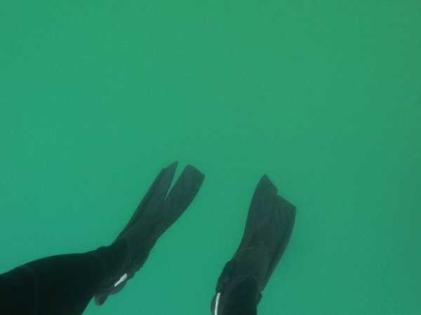 20 тревожных морских снимков, которые выведут из равновесия людей с боязнью глубины