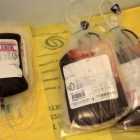 Петербургские больницы столкнулись с нехваткой донорской крови