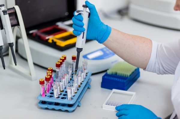Петербуржцы стали чаще сдавать тесты на антитела к коронавирусу0
