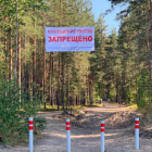 Запрет на посещение лесов: нарушителям грозит ужесточение штрафов