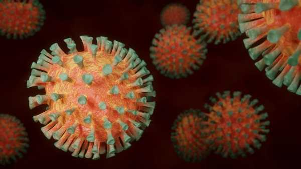 В Британии обнаружен новый штамм коронавируса0