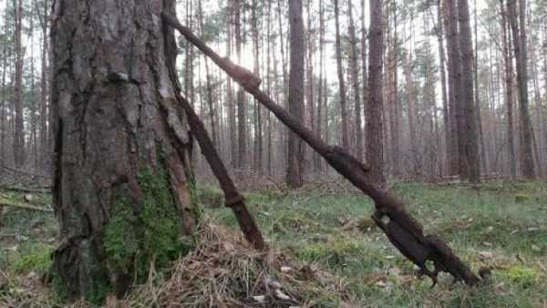 18 ценных вещиц, обнаруженных буквально под ногами с помощью металлоискателя