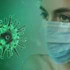 В Роспотребнадзоре заявили о невозможности передачи коронавируса от животного к человеку
