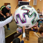 Мяч ЕВРО-2020 — для ленинградских детей