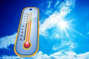 Медик объяснил петербуржцам, как правильно себя вести во время аномальной жары