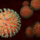 Пропажу данных на сайте «Стопкоронавирус» объяснили «неинформативностью»