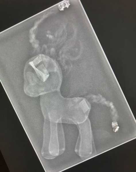 17 странных рентгеновских снимков обычных вещей