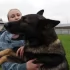 Служебная собака Кадис нашла предполагаемого убийцу петербурженки