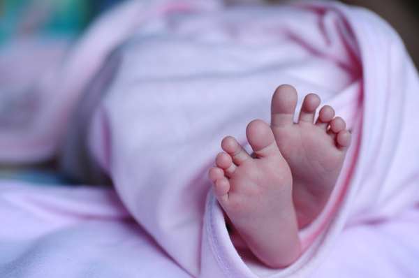 На стройплощадке в Невском районе нашли мумию младенца