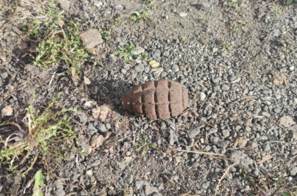 Ручную гранату нашли на территории Угольной гавани в Петербурге