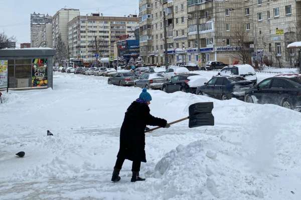 В Петербурге отвечать за уборку дворов теперь будут администрации районов