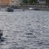 Убегал от полиции и нырнул в Фонтанку: водителю каршеринга не повезло - Новости Санкт-Петербурга