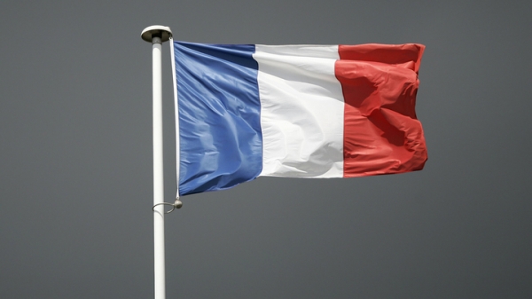 Зарплата главы Stellantis вызвала гнев во Франции0