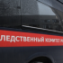 В Красном Бору поймали мигранта, пытавшегося зарезать подростка - Новости Санкт-Петербурга