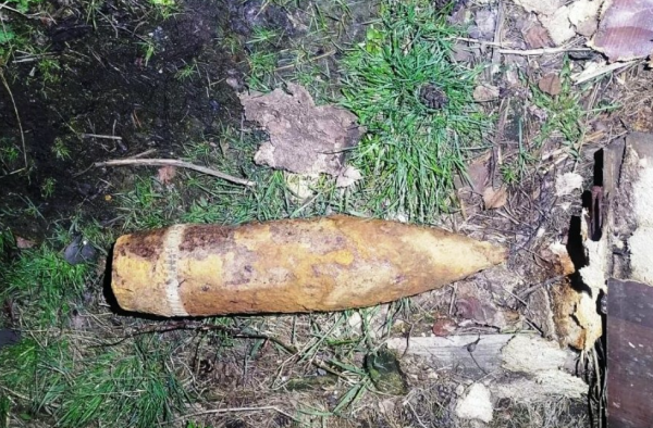 Более 10 опасных боеприпасов нашли в Петербурге и Ленобласти с начала мая