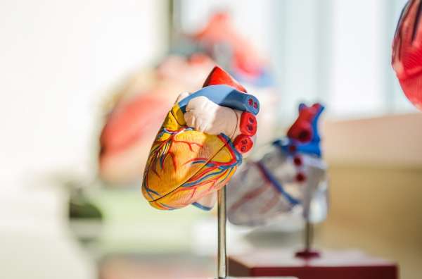 ETNT перечислило привычки, убивающие здоровье сердца