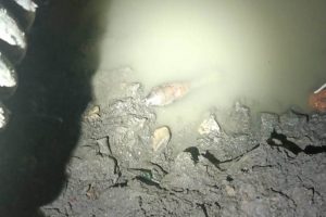 Минометную мину нашли в водопропускной трубе на юго-западе Петербурга - Новости Санкт-Петербурга1