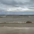 Полицейские нашли тело работника плавучего крана на берегу Финского залива