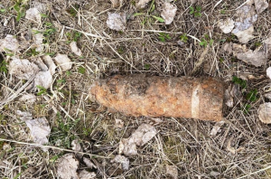 Более 10 опасных боеприпасов нашли в Петербурге и Ленобласти с начала мая - Новости Санкт-Петербурга1