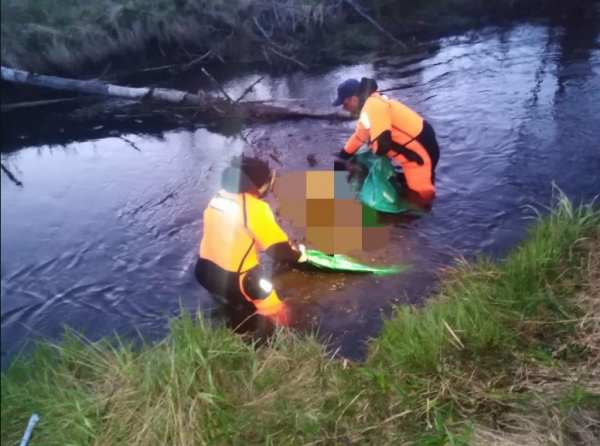 В ручье Приозерского района Ленобласти нашли тело неизвестного