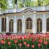 В субботу Летний сад пригласит посетителей в Огород Петра Великого - Новости Санкт-Петербурга