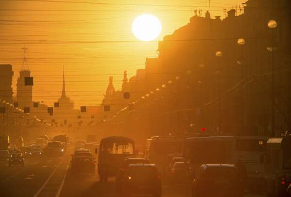 Гидрометцентр рассказал, что к выходным в Петербург и Ленобласть придет аномальная жара