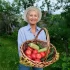 Овощи незаменимы: Названы пять важных для здоровья свойств овощей