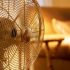 Из-за жары спрос на вентиляторы в Петербурге резко подпрыгнул - Новости Санкт-Петербурга