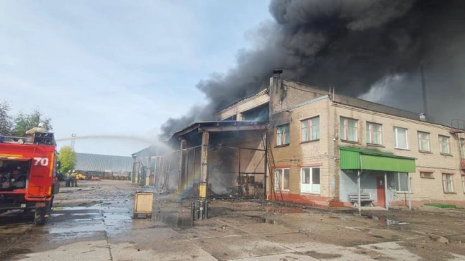 Транспортная прокуратура начала проверку после пожара в морском порту Усть-Луга