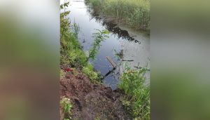Маленький мальчик утонул в реке под Петербургом - Новости Санкт-Петербурга1