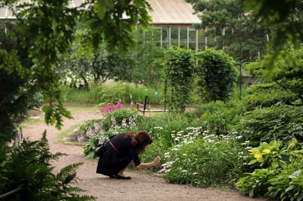 Из-за жары в Петербурге временно нельзя попасть в оранжереи Ботанического сада