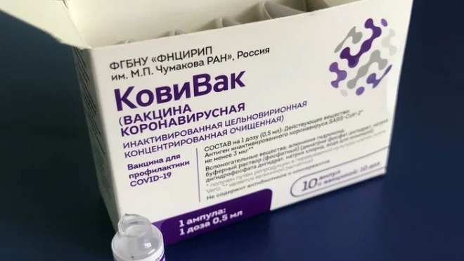 В Петербурге снизился коллективный иммунитет к COVID-19