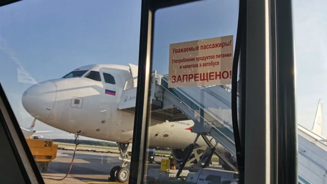 Лжеминеры "напали" на самолет из Петербурга в Дубай