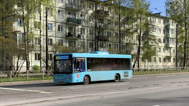 Дополнительные автобусы запустят на популярных маршрутах в Петербурге с 15 июня