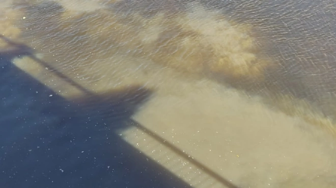 "Водоканал" обследует мутное пятно в воде на набережной Обводного канала
