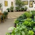 В Ботаническом саду 11 июля откроется выставка 400 оттенков зеленого