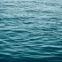 На озере вблизи Озерков утонула девочка, отдыхавшая на пляже с родителями
